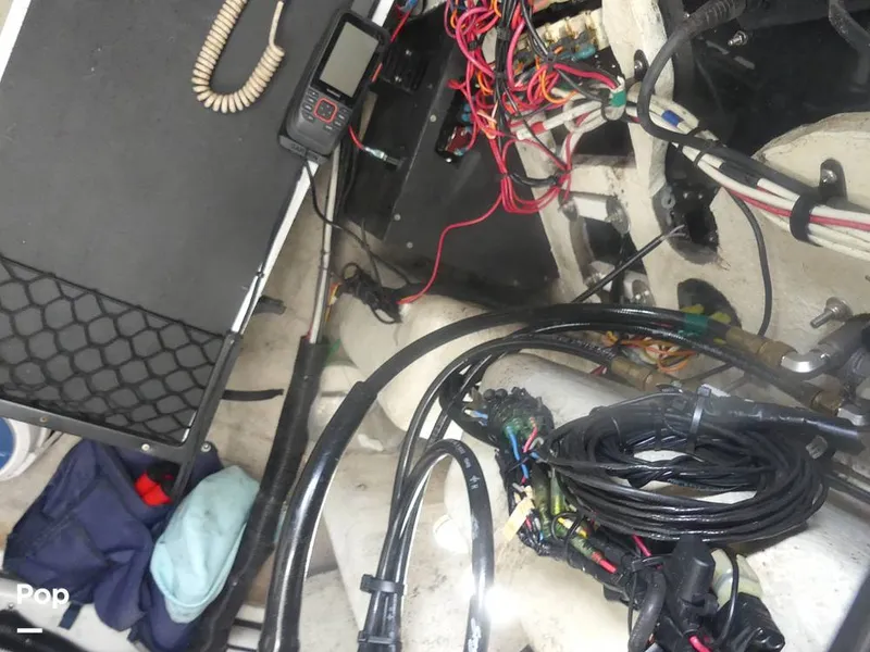 Slide: The Image of Hydra-Sports Vector 2796 2000 - 15699214