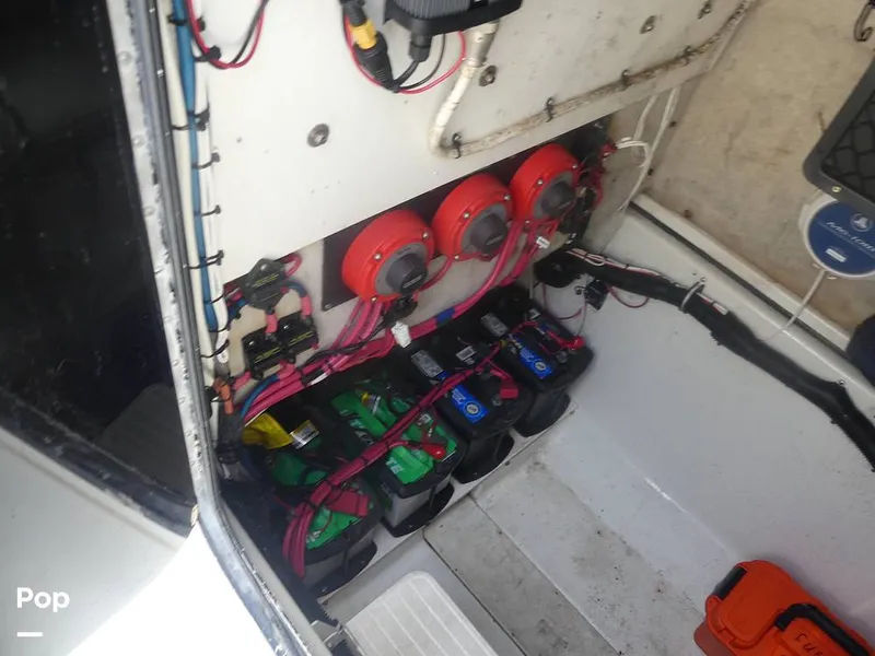 Slide: The Image of Hydra-Sports Vector 2796 2000 - 15699217