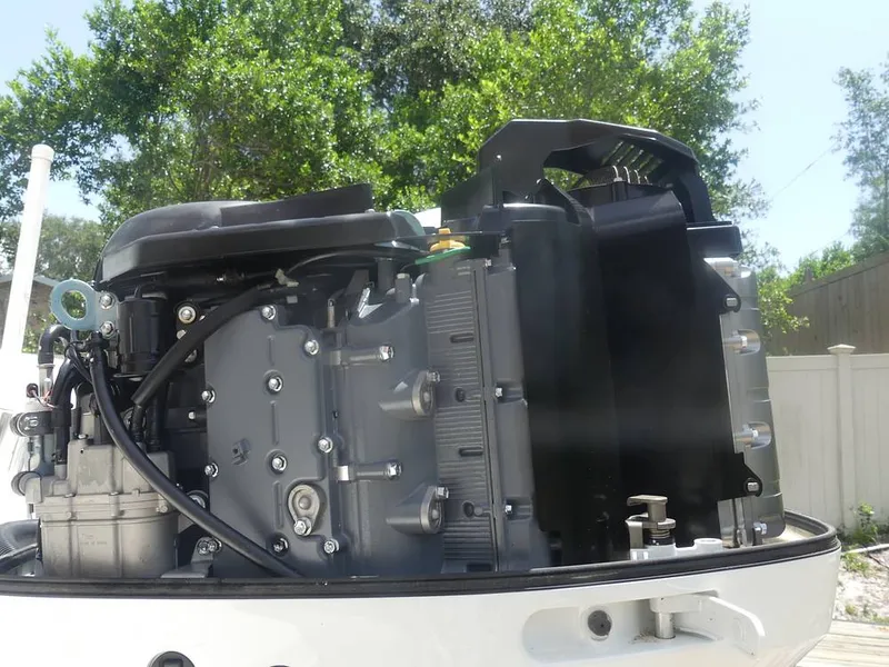 Slide: The Image of Hydra-Sports Vector 2796 2000 - 15700382