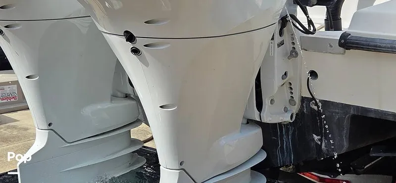 Slide: The Image of Hydra-Sports Vector 2796 2000 - 16279484