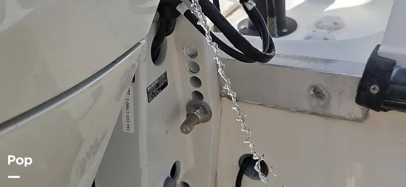 Slide: The Image of Hydra-Sports Vector 2796 2000 - 16279486