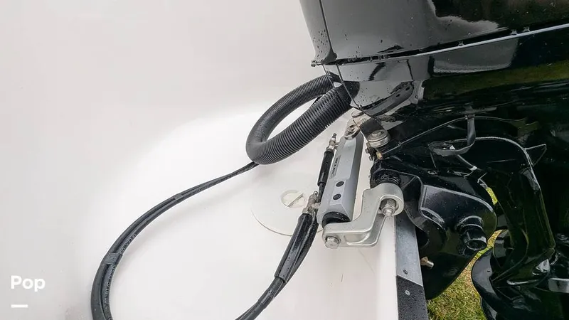 Slide: The Image of Campion Allante A20 Chase Trim 2021 - 15806381