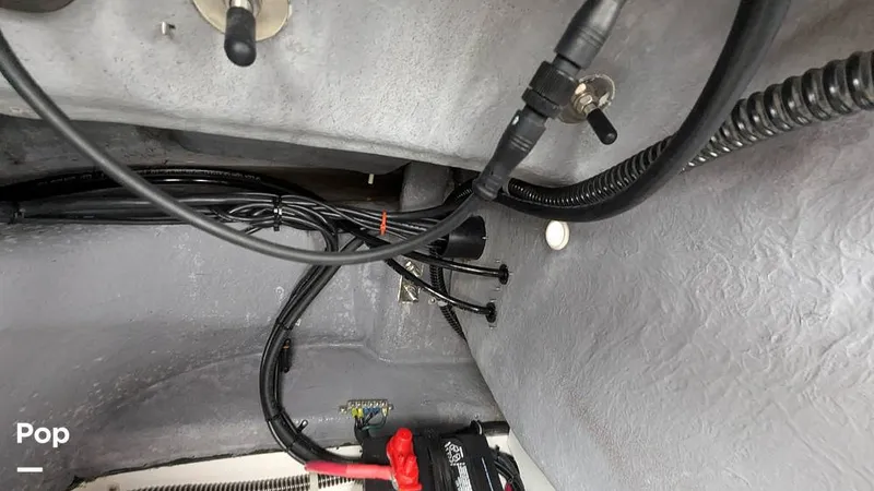 Slide: The Image of Campion Allante A20 Chase Trim 2021 - 15806391