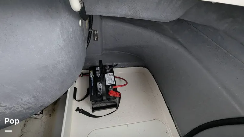 Slide: The Image of Campion Allante A20 Chase Trim 2021 - 15806392