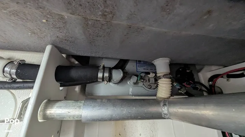 Slide: The Image of Campion Allante A20 Chase Trim 2021 - 15806393