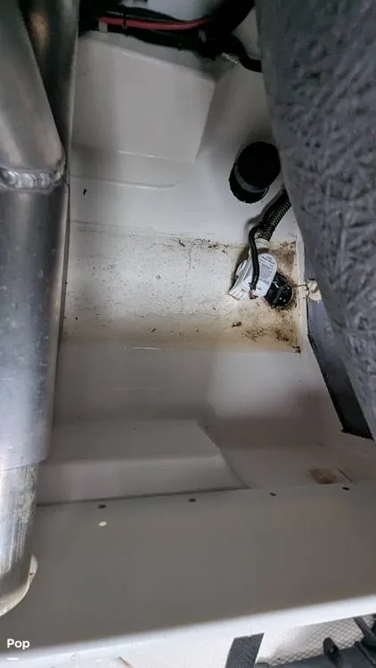 Slide: The Image of Campion Allante A20 Chase Trim 2021 - 15806394