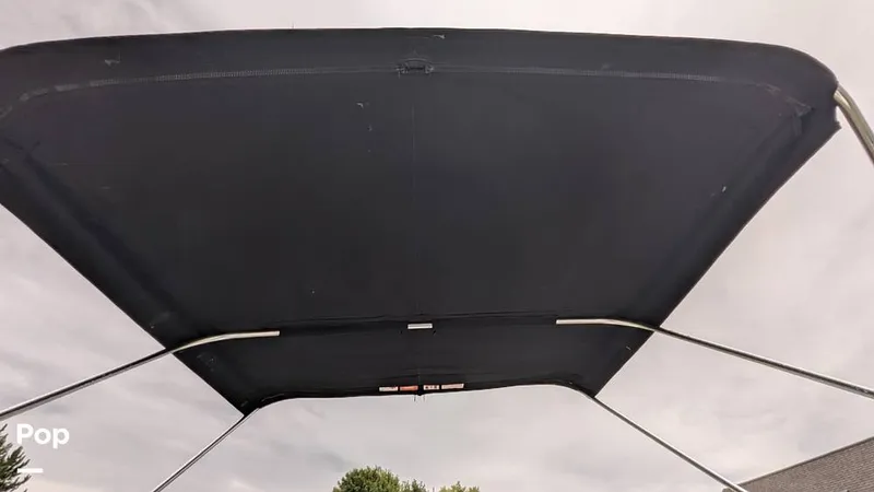 Slide: The Image of Campion Allante A20 Chase Trim 2021 - 15806416