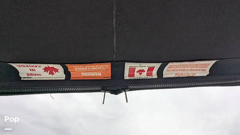 Slide: The Image of Campion Allante A20 Chase Trim 2021 - 15806417