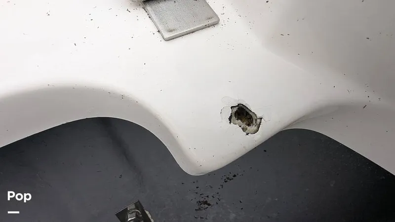 Slide: The Image of Campion Allante A20 Chase Trim 2021 - 15806420