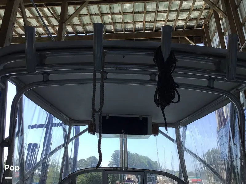 Slide: The Image of Shamrock 220 2001 - 15596008