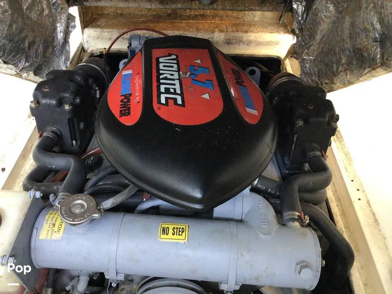 Slide: The Image of Shamrock 220 2001 - 15596031