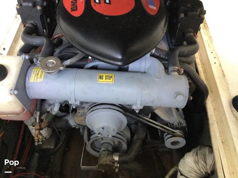 Slide: The Image of Shamrock 220 2001 - 15596032