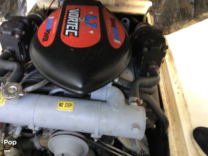 Slide: The Image of Shamrock 220 2001 - 15596045