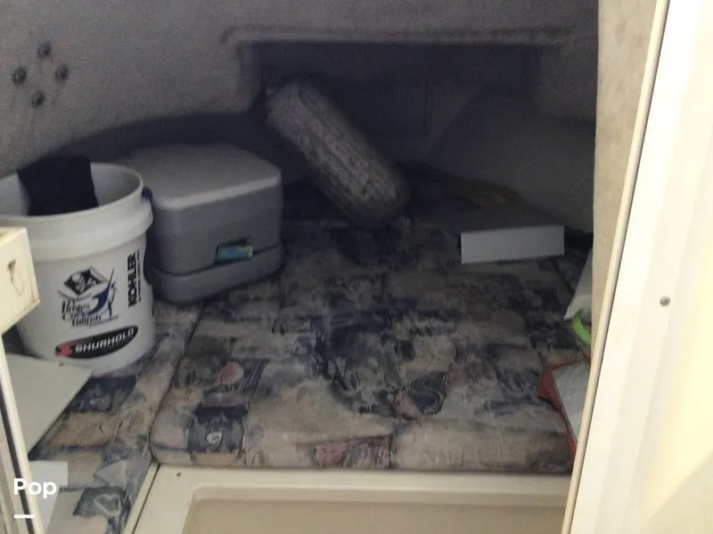 Slide: The Image of Shamrock 220 2001 - 15596050