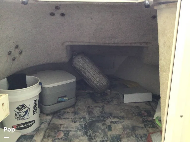 Slide: The Image of Shamrock 220 2001 - 15596051