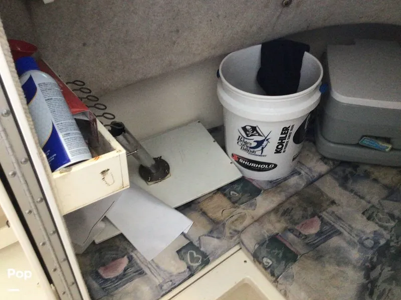 Slide: The Image of Shamrock 220 2001 - 15596052