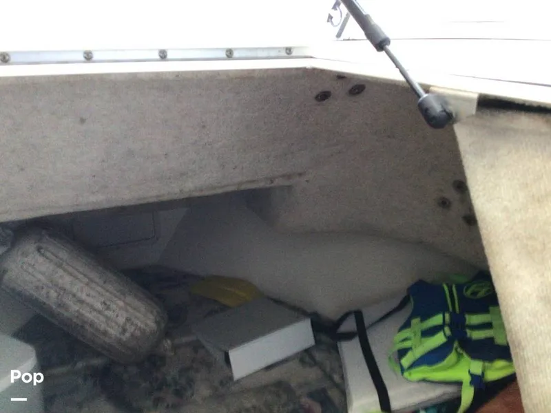 Slide: The Image of Shamrock 220 2001 - 15596053