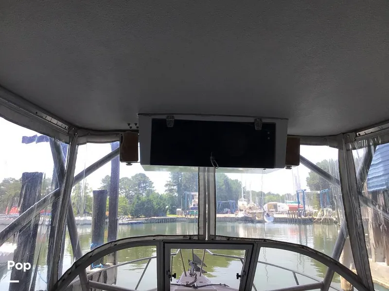 Slide: The Image of Shamrock 220 2001 - 15596056