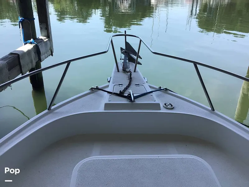 Slide: The Image of Shamrock 220 2001 - 15596059