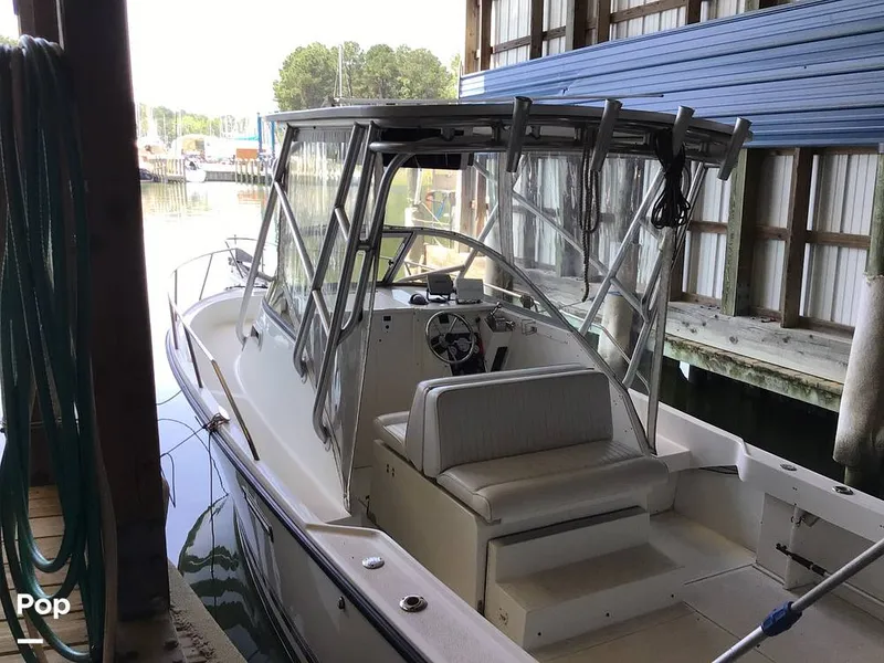 Slide: The Image of Shamrock 220 2001 - 15595998