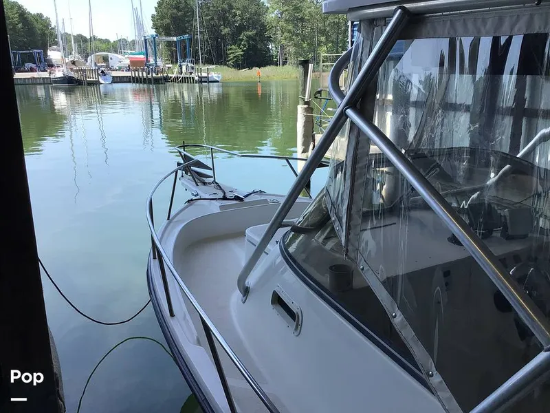 Slide: The Image of Shamrock 220 2001 - 15595999