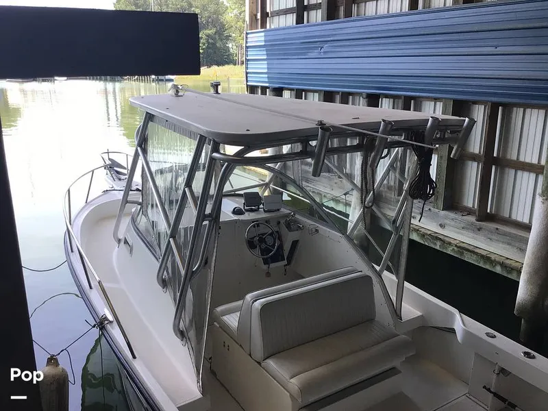 Slide: The Image of Shamrock 220 2001 - 15596078