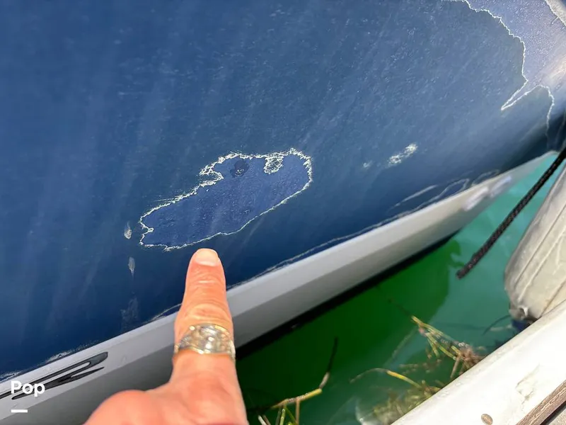 Slide: The Image of Clear Coat Needs Buffing - 15571046