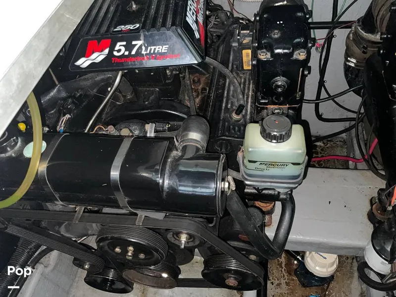 Slide: The Image of Monterey 322 CRUISER 2001 - 15585744