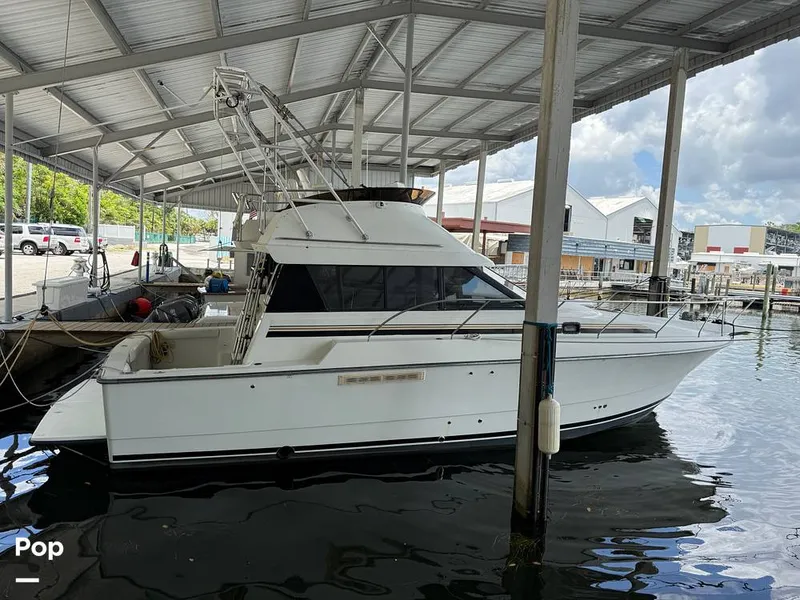 Slide: The Image of Silverton Convertible 34 1992 - 15601276