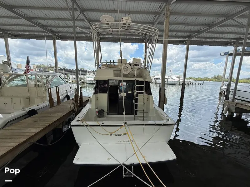 Slide: The Image of Silverton Convertible 34 1992 - 15601279