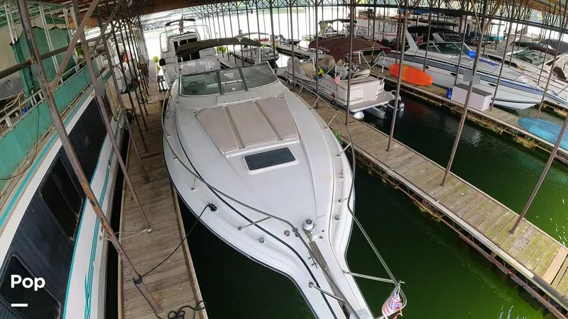 Slide: The Image of Regal Commodore 402 1998 - 15606919