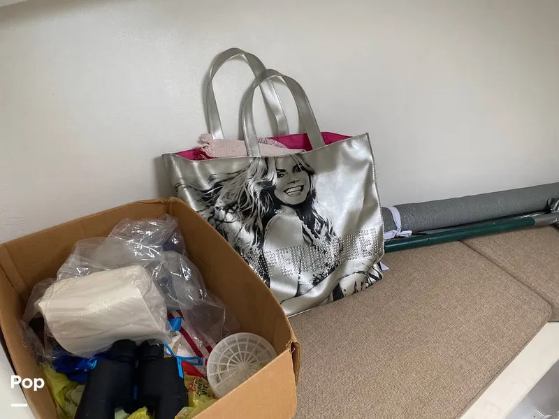 Slide: The Image of Steiger Craft DV21 Miami 2017 - 15650889