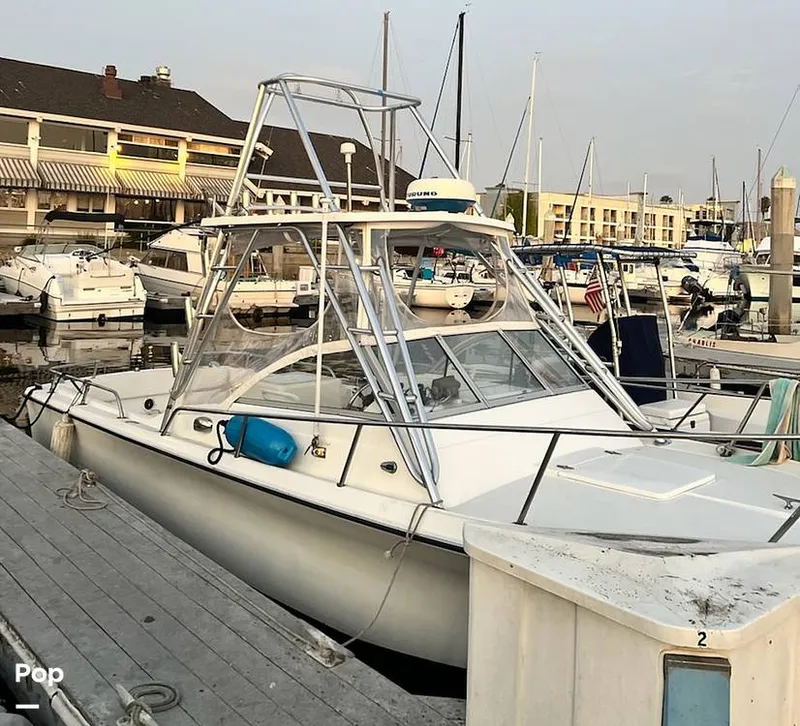 Slide: The Image of Skipjack 24 1979 - 15584237
