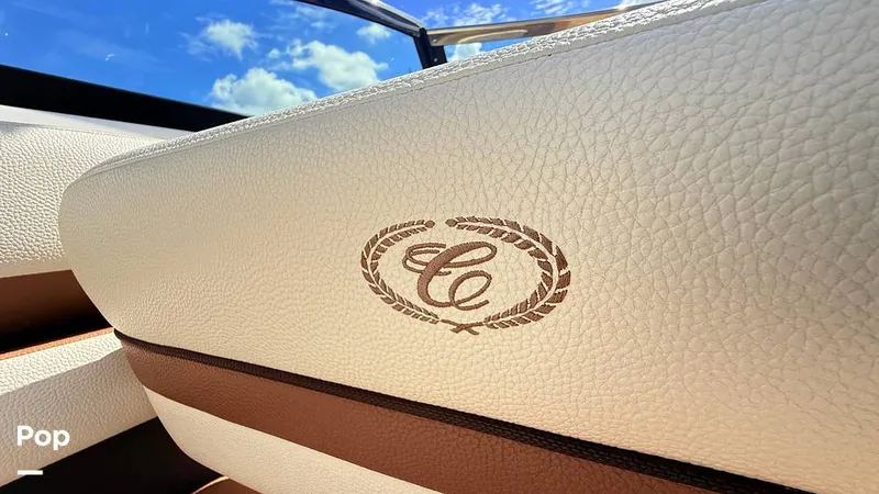 Slide: The Image of Cobalt CS22 2018 - 15700664