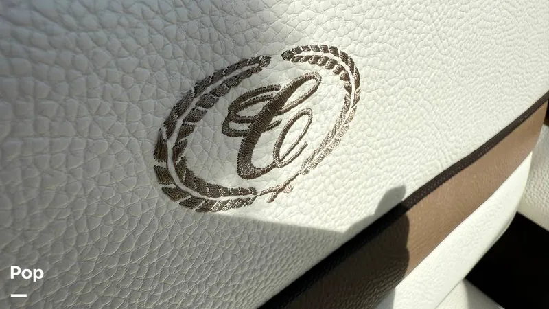 Slide: The Image of Cobalt CS22 2018 - 15700623