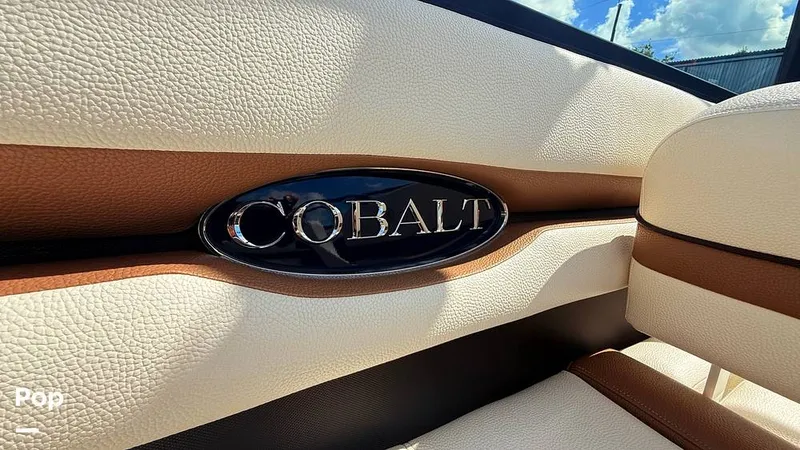 Slide: The Image of Cobalt CS22 2018 - 15700663