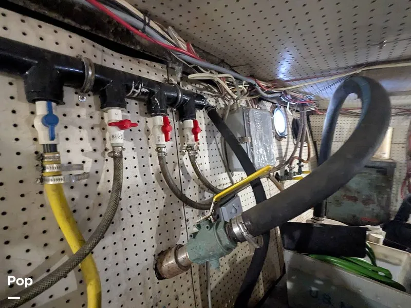 Slide: The Image of Chris-Craft 58 Roamer 1968 - 15742080