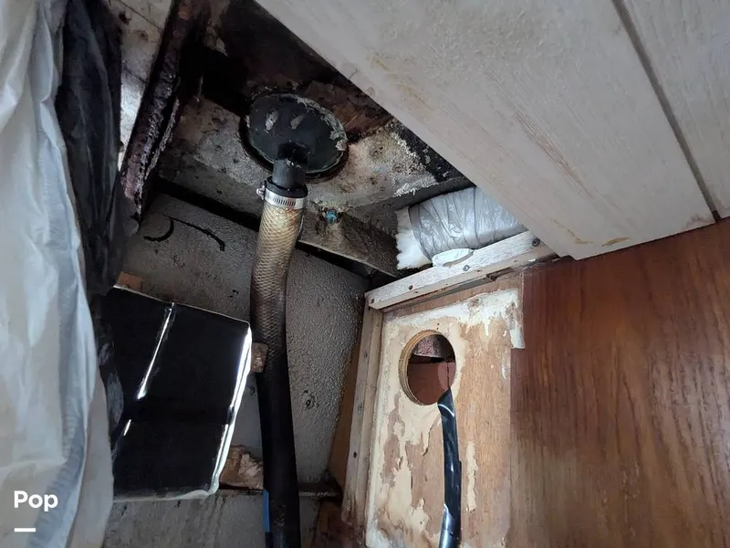 Slide: The Image of Chris-Craft 58 Roamer 1968 - 15742114