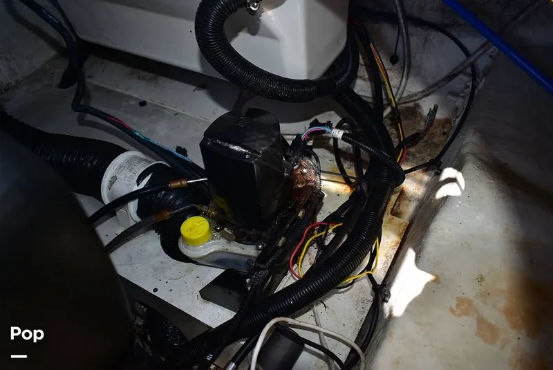 Slide: The Image of Sea Ray 270 SDX 2016 - 15909757