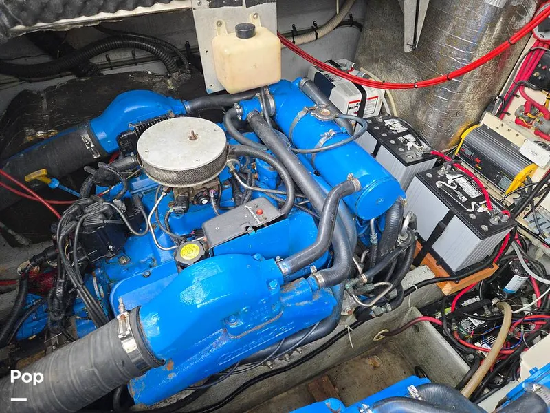 Slide: The Image of Luhrs 320 Open Tournament 1998 - 15664499