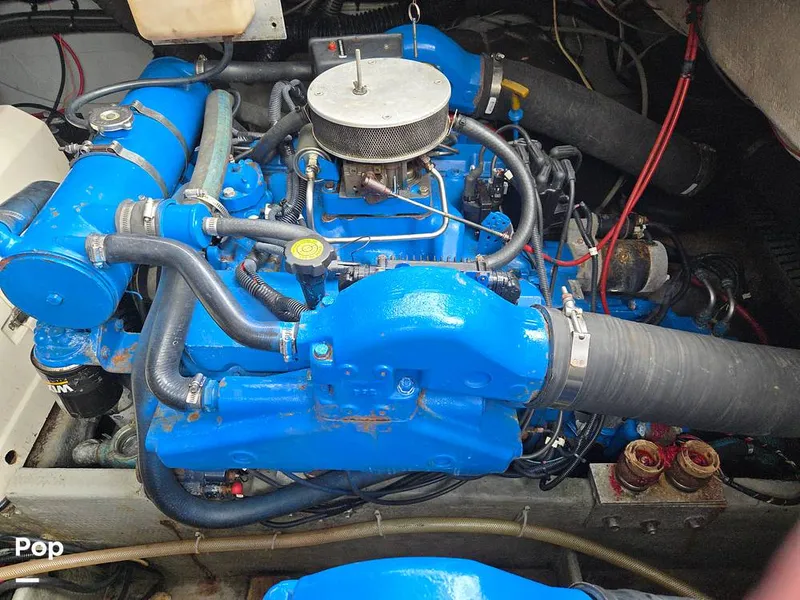 Slide: The Image of Luhrs 320 Open Tournament 1998 - 15664501