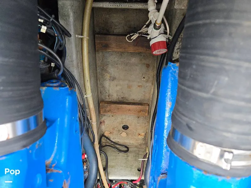 Slide: The Image of Luhrs 320 Open Tournament 1998 - 15664512