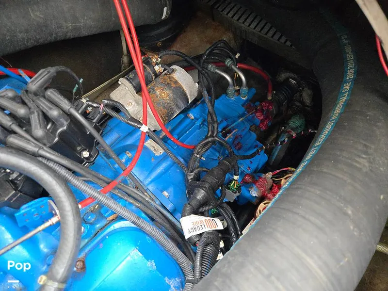 Slide: The Image of Luhrs 320 Open Tournament 1998 - 15664514