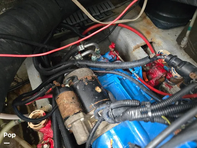 Slide: The Image of Luhrs 320 Open Tournament 1998 - 15664515