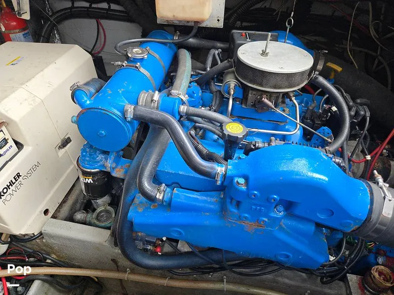 Slide: The Image of Luhrs 320 Open Tournament 1998 - 15664517