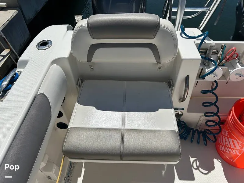 Slide: The Image of World Cat 255DC 2018 - 15565200