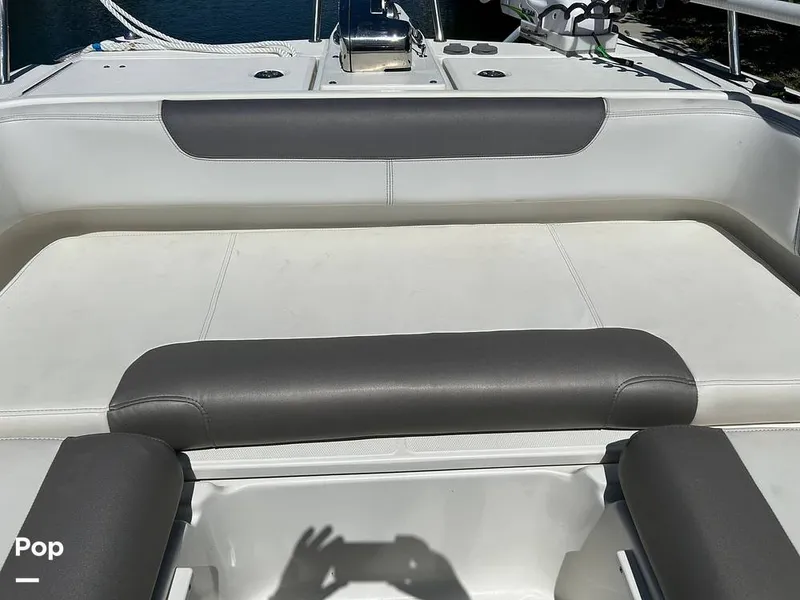 Slide: The Image of World Cat 255DC 2018 - 15565204