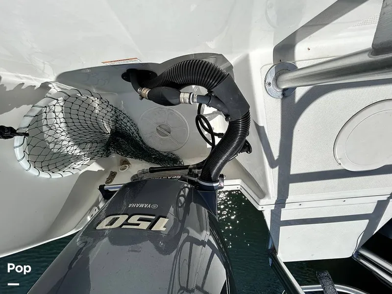 Slide: The Image of World Cat 255DC 2018 - 15565087