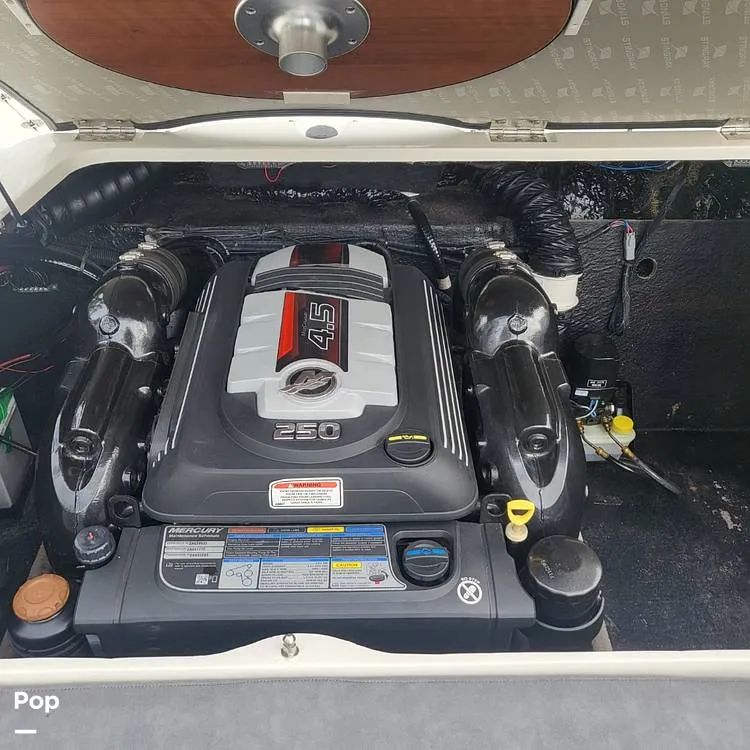 Slide: The Image of Stingray 208 LR 2020 - 15567846