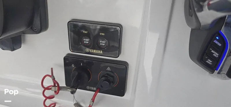 Slide: The Image of Release 295 Sport 2021 - 15672419